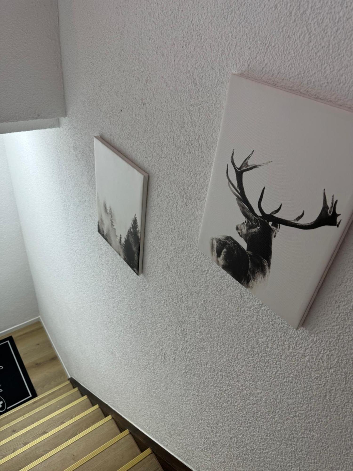 Apartament Dachgeschosstraum Freudenstadt Zewnętrze zdjęcie